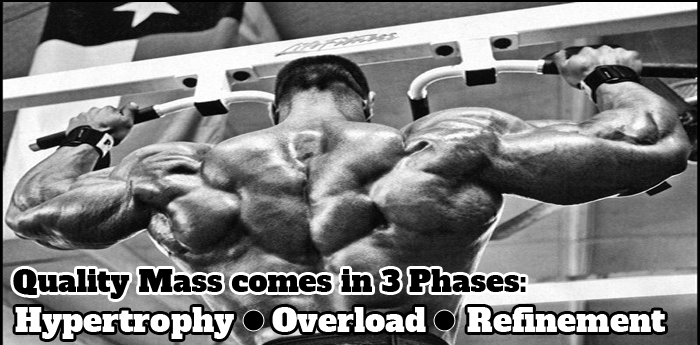 3 Phase Bodybuilding Mass Workout