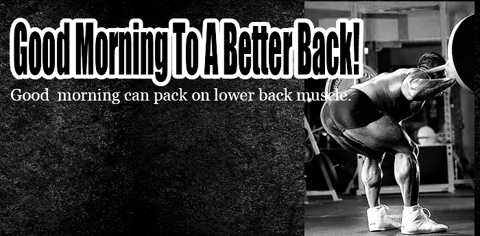 Good Morning To A Better Back!
