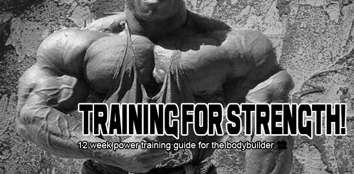 Bodybuilding Strength Training Program