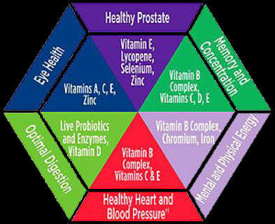 Vitamin Code 50 Paradigm