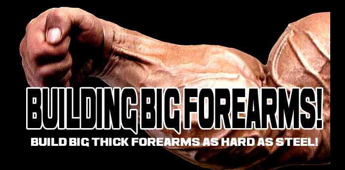 Building Big Forearms - Build big thick forearms as hard as steel