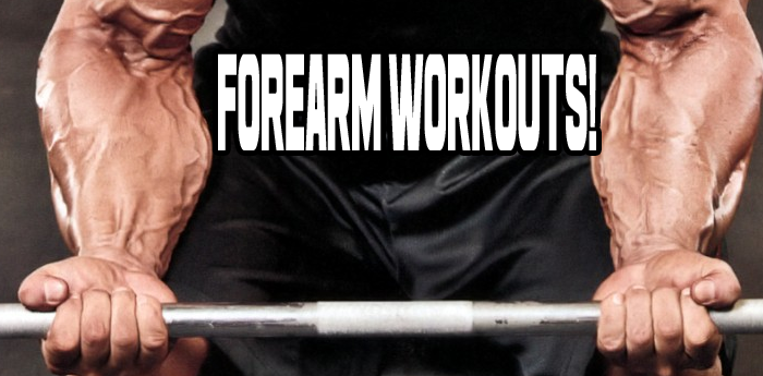 Forearm Workouts!