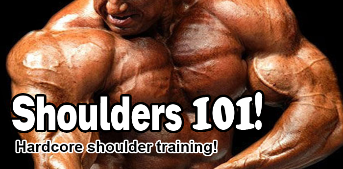 Bodybuilding: Shoulders 101
