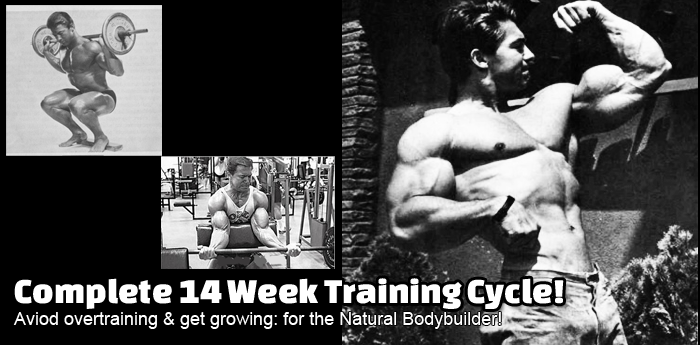 Stop Overtraining and Start Growing - Natural Bodybuilding Training!