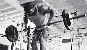 Calssic Bent Over Barbell Rows