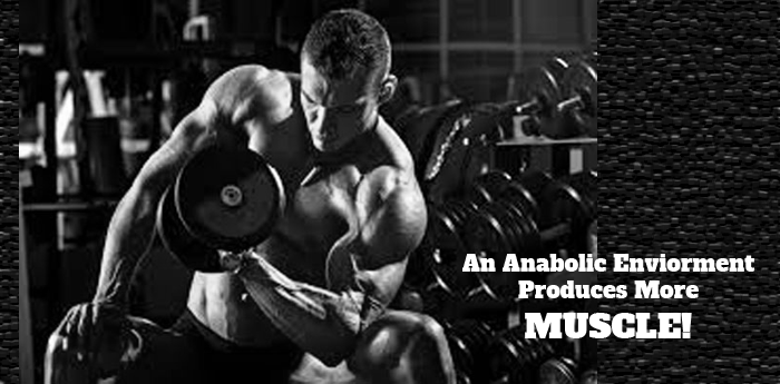 Amino Anabolic