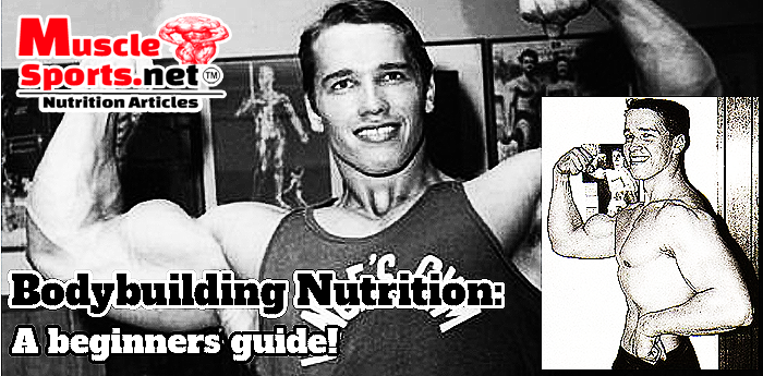 Bodybuilding Beginners Nutrition