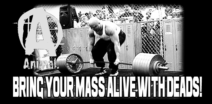 Bring Your Mass Alive With Deads