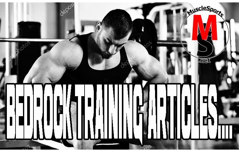 Bedrock Training Logo @MuscleSPorts.net