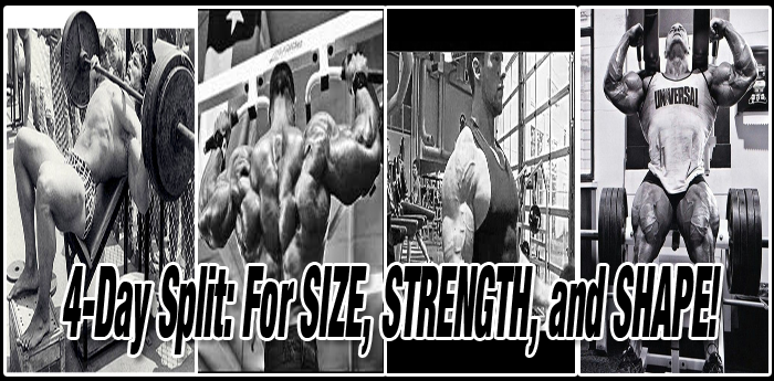4-Day Bodybuilding Split Workout