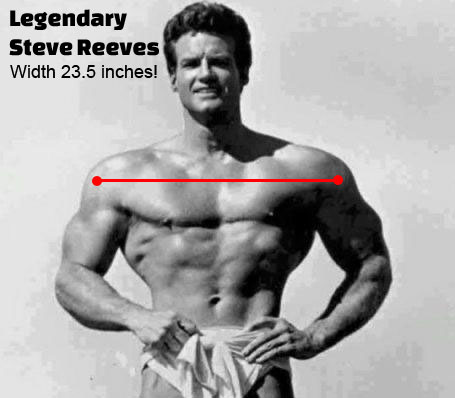 Steve Reeves