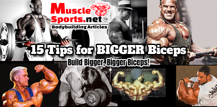 15 Tips for BIGGER Biceps