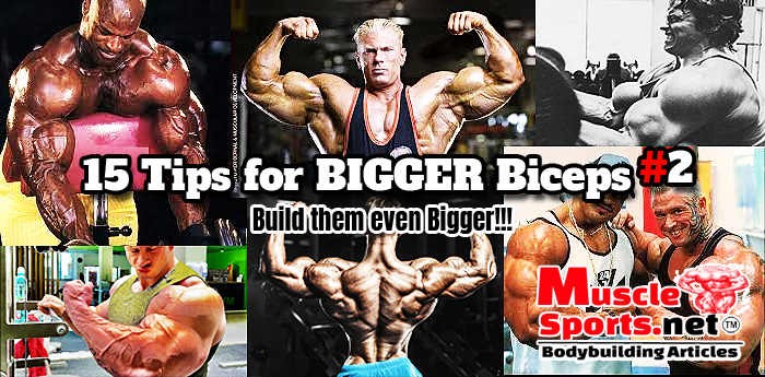 15 Tips for BIGGER Biceps #2