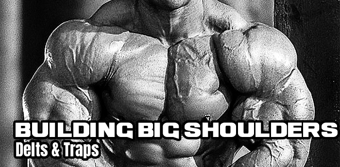 Building Big Shoulders: Delts & Traps