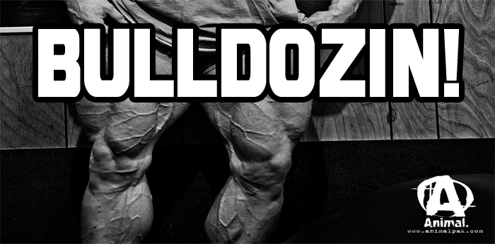 AnimalPak: Bulldozin