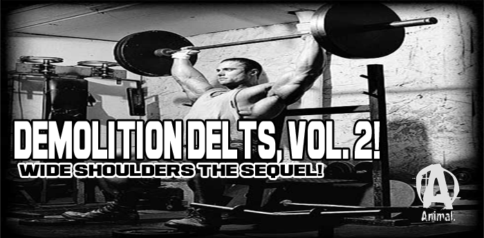 Demolition Delts: Vol.#2