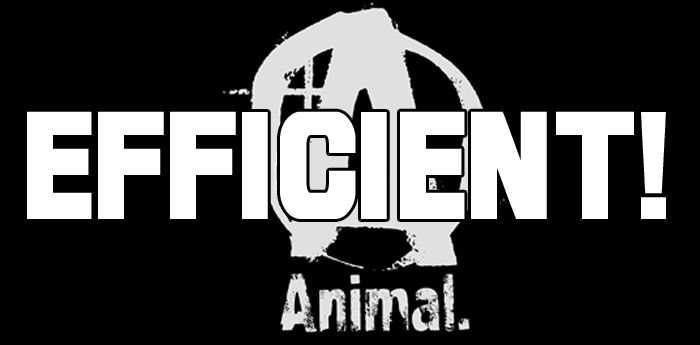efficient