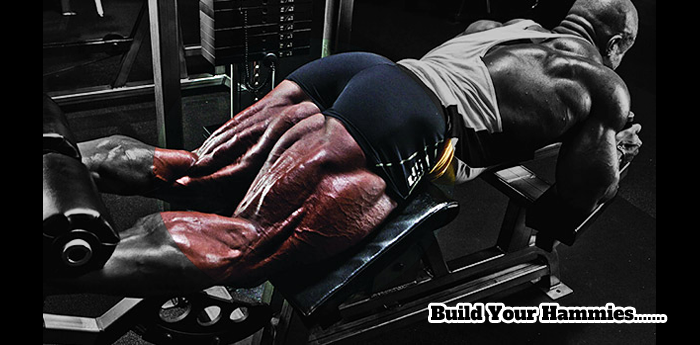 Hamstrings Workouts