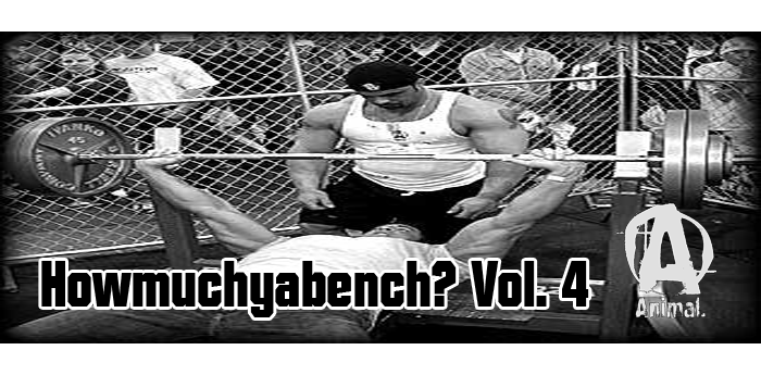 Howmuchyabench? Vol. 4