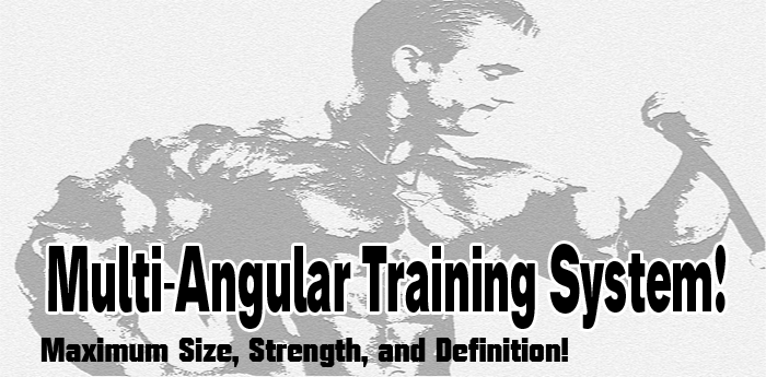 multi-angular training system