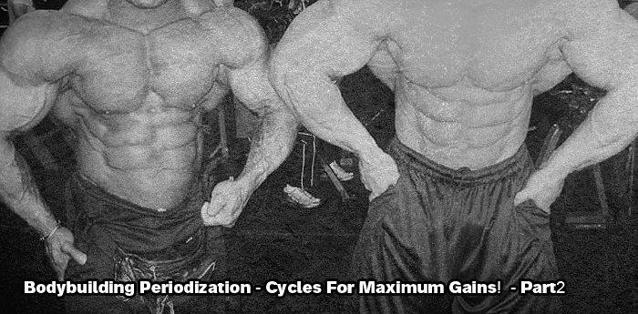 bodybuilding periodization: part 2