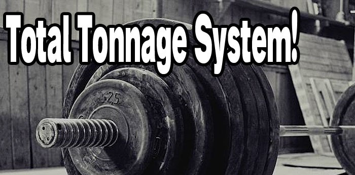 Bodybuilding: Total Tonnage System