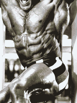 Ultimate Abdominals