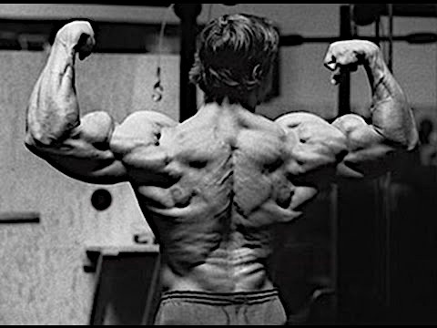 Arnold Schwarzenegger Back