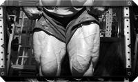 Legs feeling Pumped!