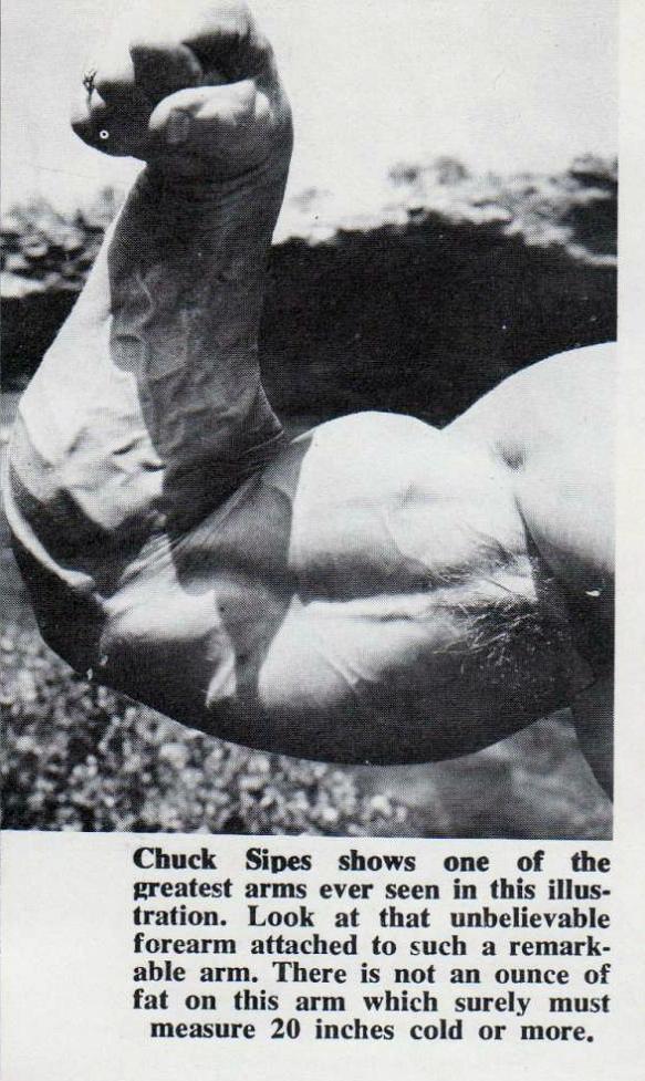 Chuck Sipes was known for his massive forearms and insane grip strength!