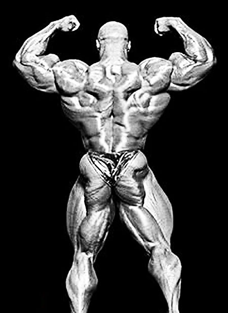 8 Time Mr. Olympia RONNIE COLEMAN