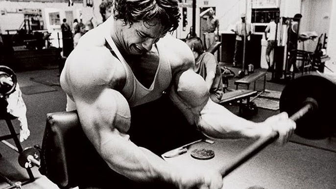 barbell scott curls
