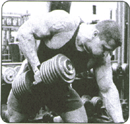 Dumbbell Row