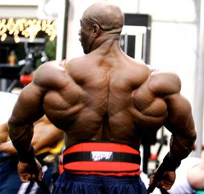 The incredible back of Joel Stu bbs IFBB Legend!