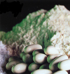 EAA Amino Acids Powder
