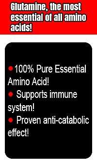 Glutamine Muscle Building Chart