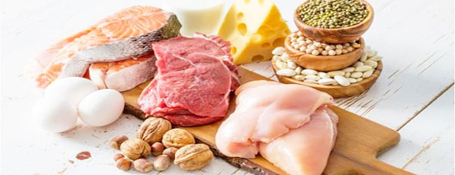 Protein Foods