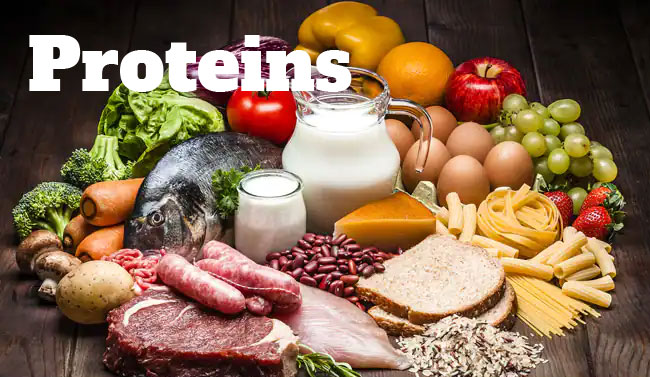 Proteins