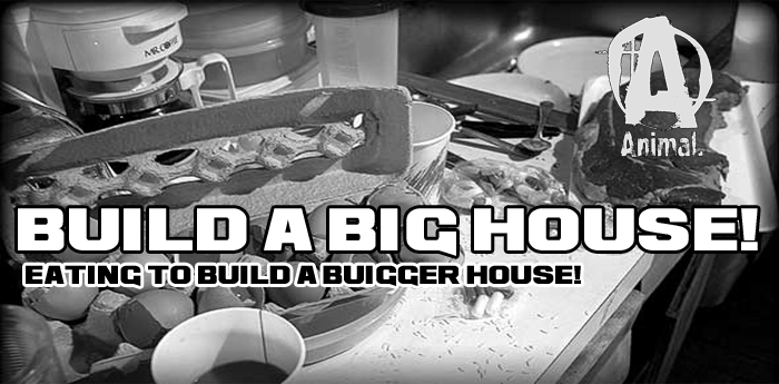 Build A Big House