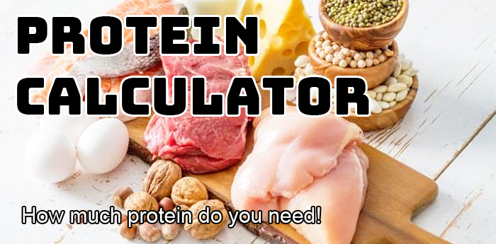 Protein Calculator