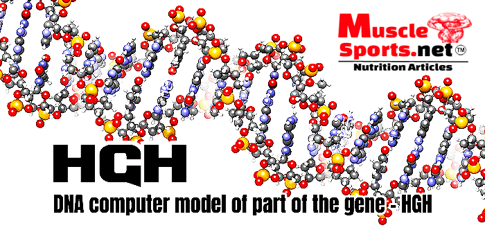 Human Growth Hormone (hGH)