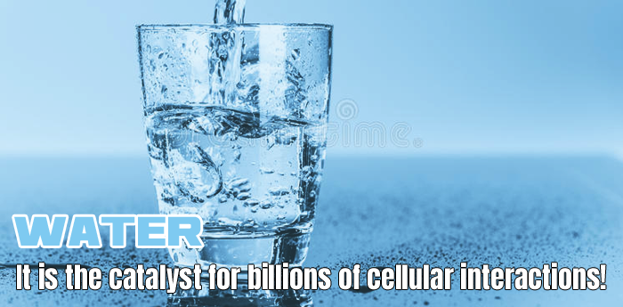 Importance of Water