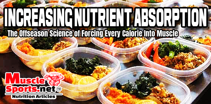 INCREASING NUTRIENT ABSORPTION