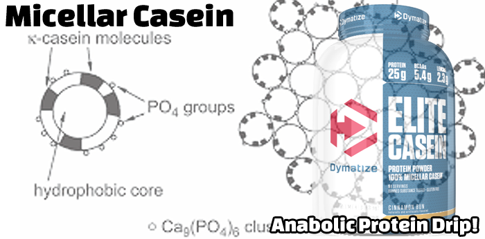 Bodybuilding Nutrition: Micellar Casein