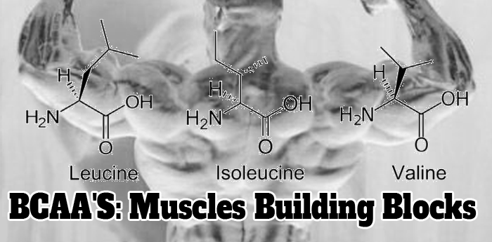 Bodybuilding Nutrition: BCAA'S