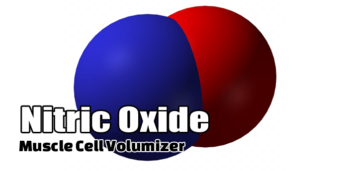 Bodybuilding Nutrition: Nitric Oxide