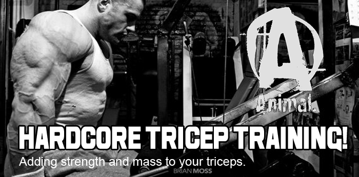 HardCore Tricep Training