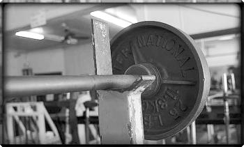 APak Image - Bench Press