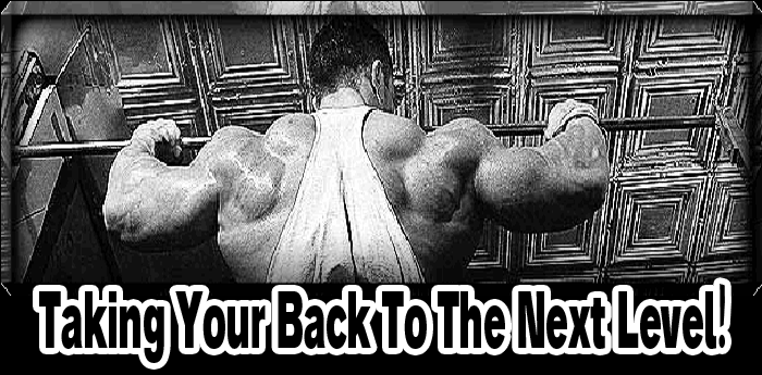 Taking Your Back To The Next Level