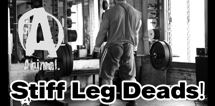 AnimalPak: Stiff Leg Deads